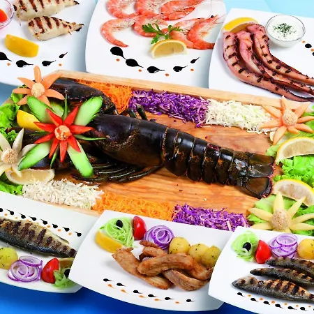 карел Несебър